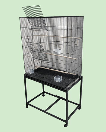 Learn about Green Cheeked Conures Handraised Green Cheeked Conures