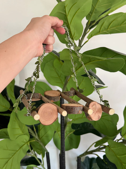 Natural Branch Forest Bird Swing