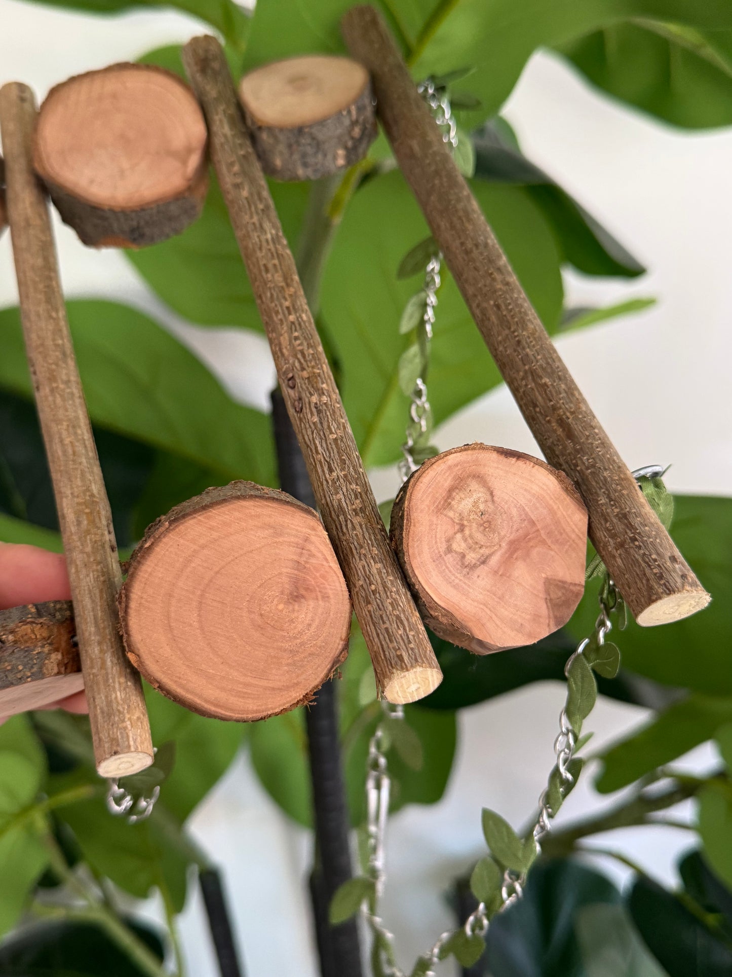 Natural Branch Forest Bird Swing
