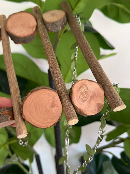 Natural Branch Forest Bird Swing