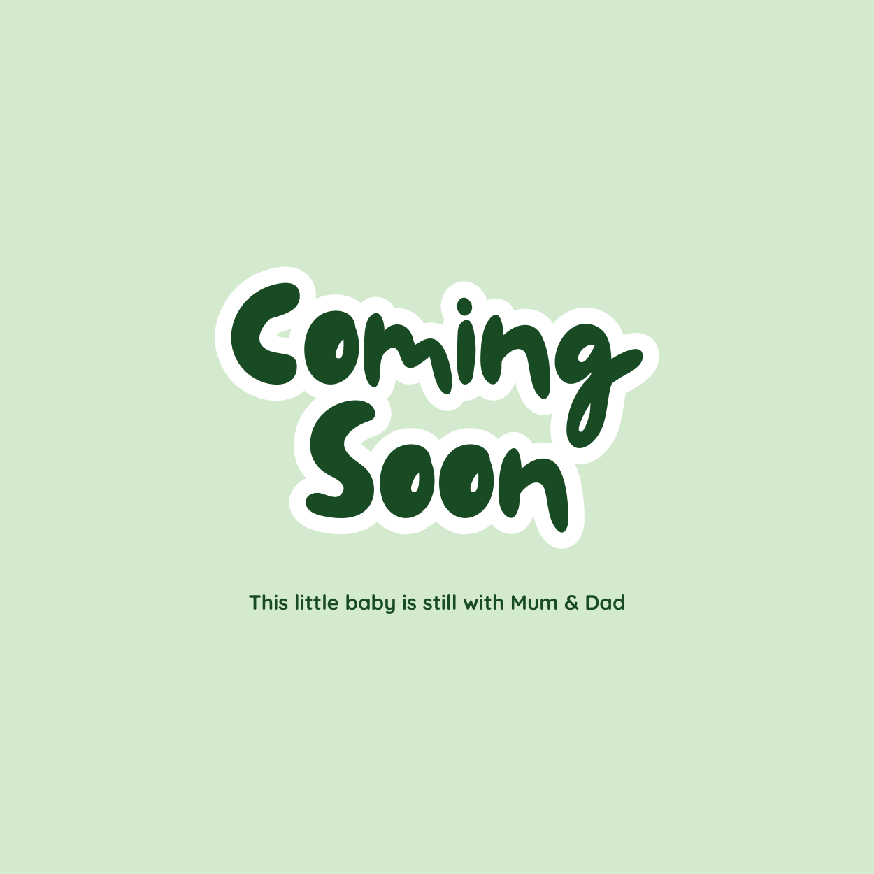 Coming soon! Conure baby 3
